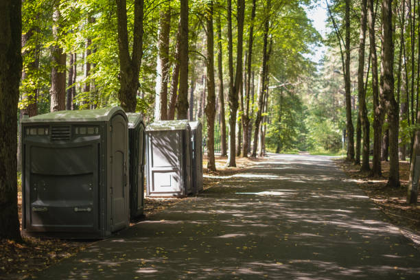 Best Luxury portable toilet rental  in West Dundee, IL